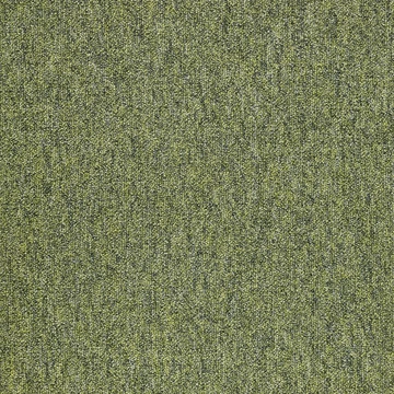 Alpa 606