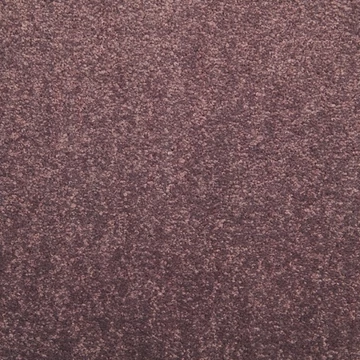 Cambridge 482 Cambridge 482