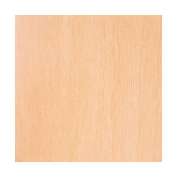 Zalakerámia  Legno ZGD 32036 padlólap