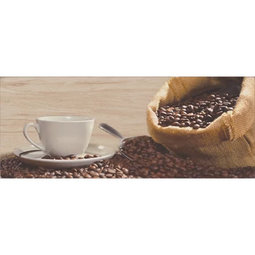 Zalakerámia Albero Mokka F-53001 dekor csempe